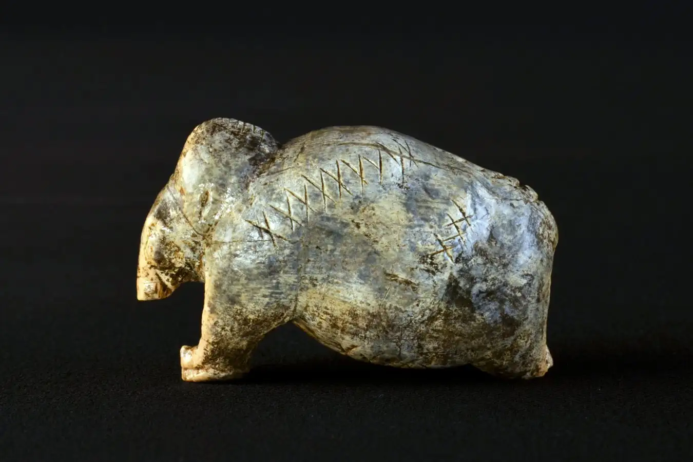 The mammoth figurine from Vogelherd Cave, approximately 40,000 years old, bears multiple sequences of crosses and dots on its surface. Credit Credit: Universit?t T?bingen / Hildegard Jensen, CC-BY-SA 4.0