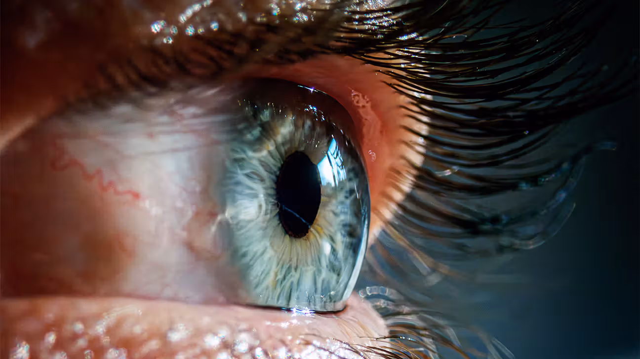 Close up of human eye