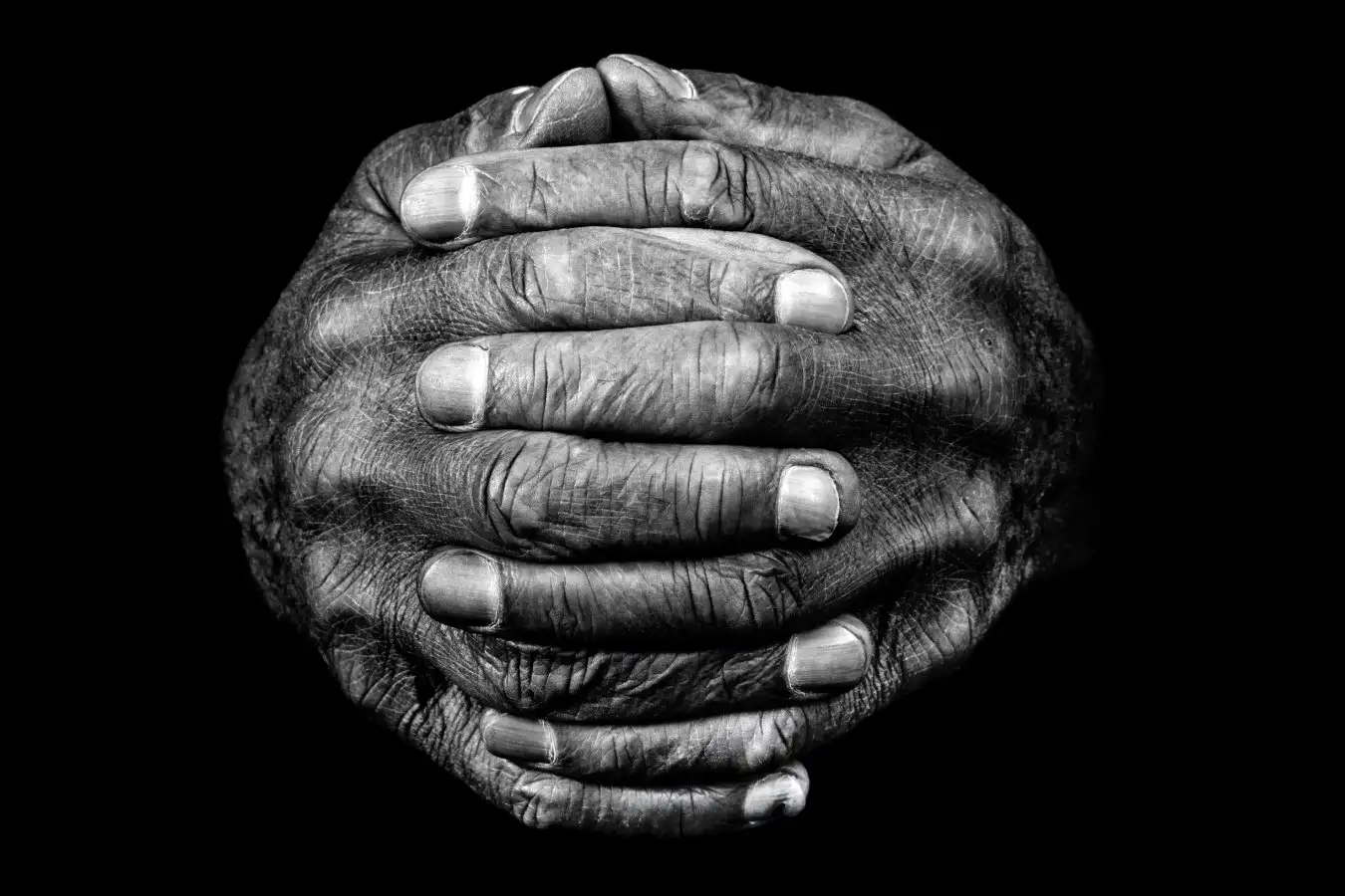Tim Booth Photography hand image - one-time use only