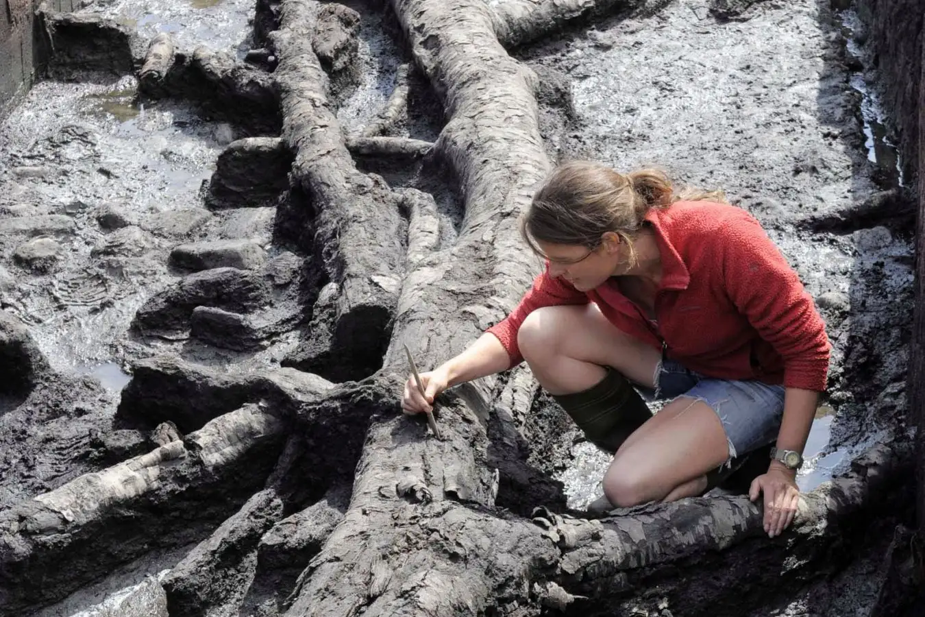 Mandatory Credit: Photo by United National Photographers/Shutterstock (1216093d) Dr Nicky Milner from The University of York works on the remains of a Birch tree thought to date back 11,000 years at Star Carr Archaelogists discover Britain's oldest house is 11,500 years old, Star Carr, near Scarborough, North Yorkshire, Britain - 10 Aug 2010 Archaeologists have discovered that Britain's oldest house is a staggering 11,500 years old. The circular structure, discovered on the Star Carr site, near Scarborough in North Yorkshire, dates back to the 8,500 years BC when Britain was still part of Continental Europe. The remnants are at least 500 years older than those belonging to what was previously thought to be the country's oldest dwelling, in Howick, Northumberland. The Star Carr site has been the subject of extensive research and excavation since its discovery in the 1940s, and has yielded a number of interesting artefacts. The 3.5m house was first excavated by archaeologists from the University of Manchester and University of York two years ago. As well as the Stone Age home, the team are also excavating a nearby wooden platform made of split timbers that is thought to be the earliest evidence of carpentry in Europe.