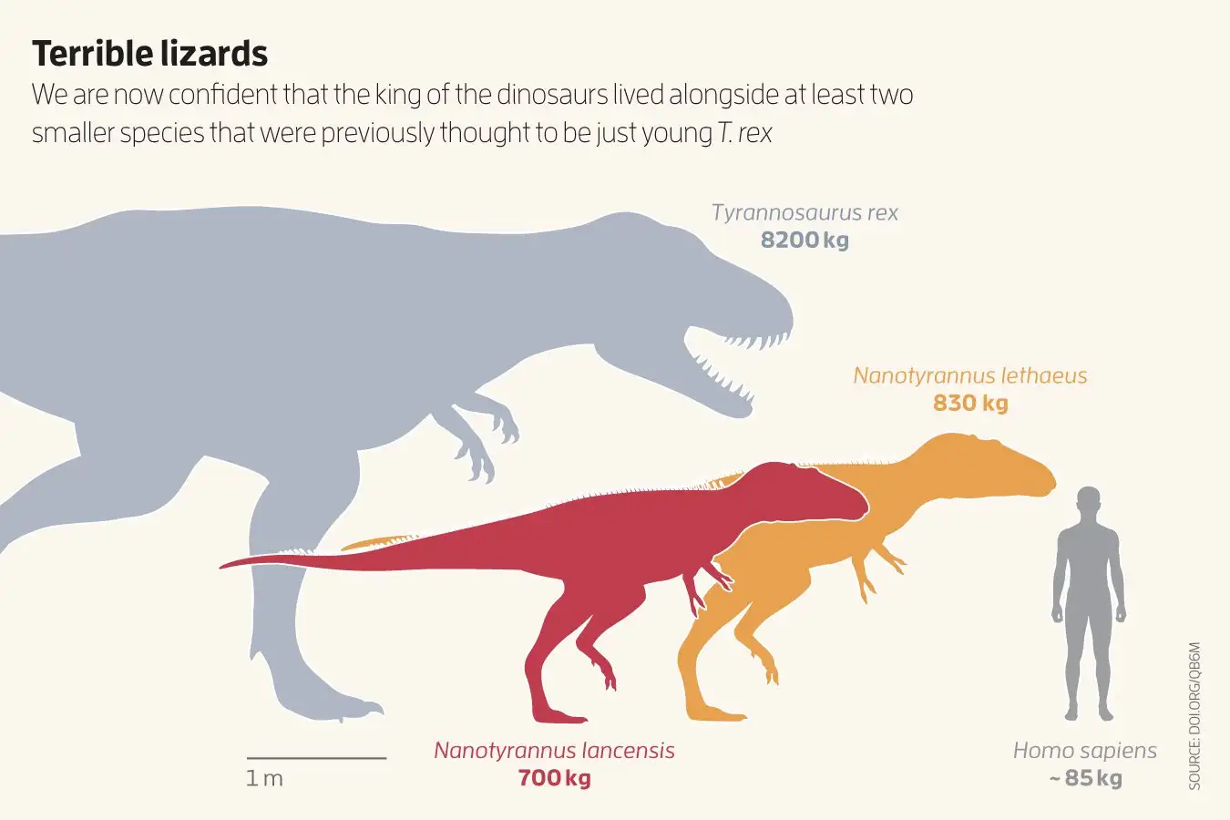 New Scientist. Science news and long reads from expert journalists, covering developments in science, technology, health and the environment on the website and the magazine.