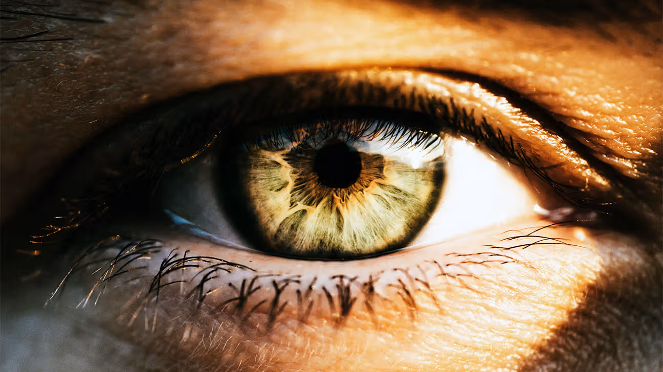 Close up of a female's eye