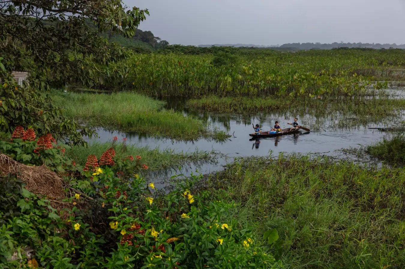 New Scientist. Science news and long reads from expert journalists, covering developments in science, technology, health and the environment on the website and the magazine.
