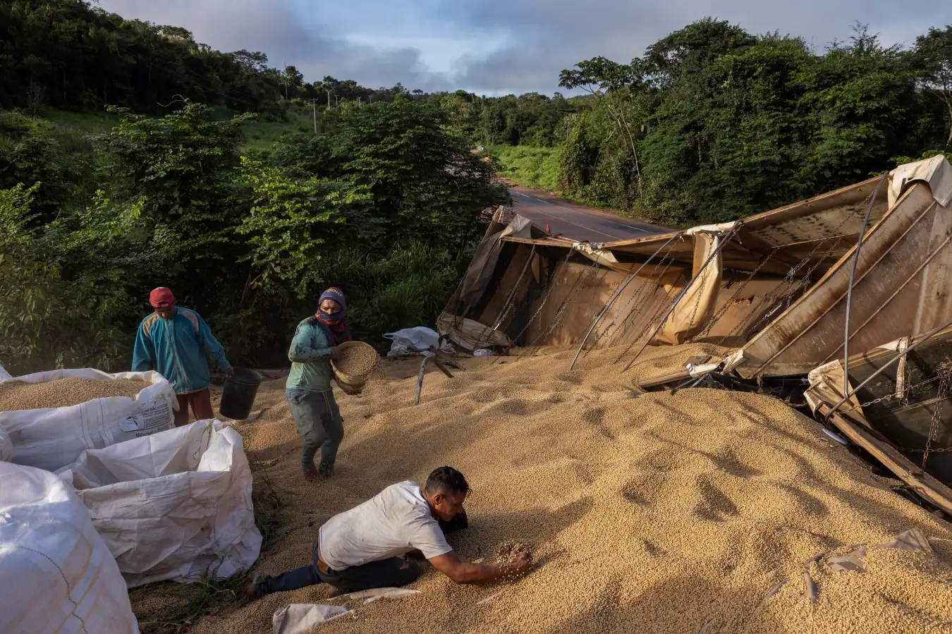 New Scientist. Science news and long reads from expert journalists, covering developments in science, technology, health and the environment on the website and the magazine.