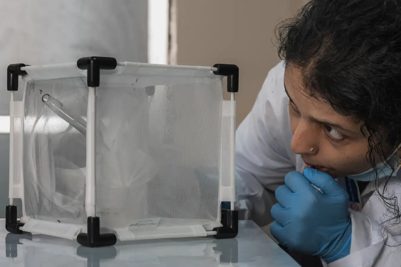 New Scientist. Science news and long reads from expert journalists, covering developments in science, technology, health and the environment on the website and the magazine.