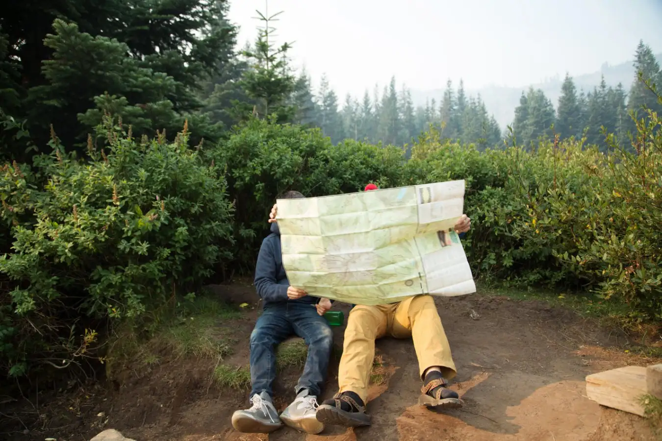 Two hikers reading map in forest