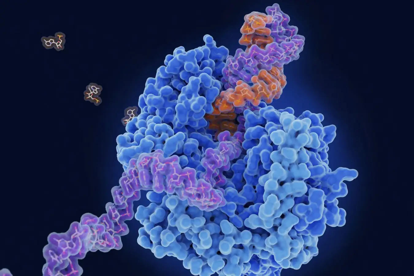 An illustration of an enzyme called RNA polymerase replicating viral RNA