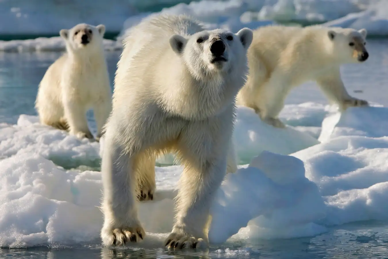 New Scientist. Science news and long reads from expert journalists, covering developments in science, technology, health and the environment on the website and the magazine.