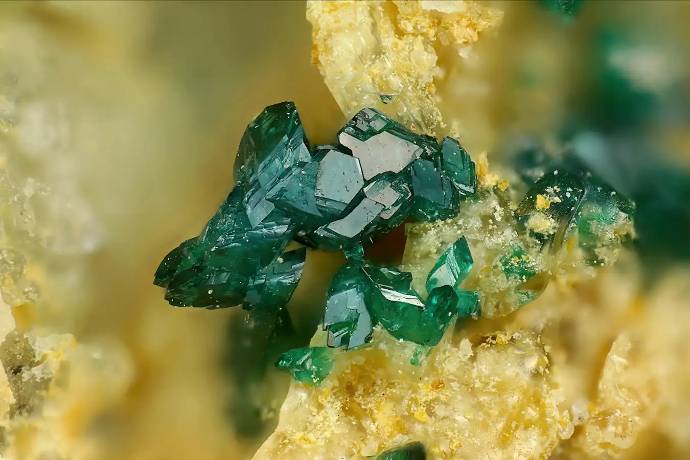 Photo of Herbertsmithite