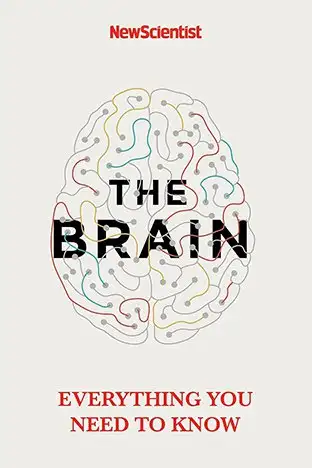 The Brain: Everything You Need to Know