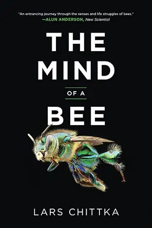 The Mind of Bee, Lars Chittka