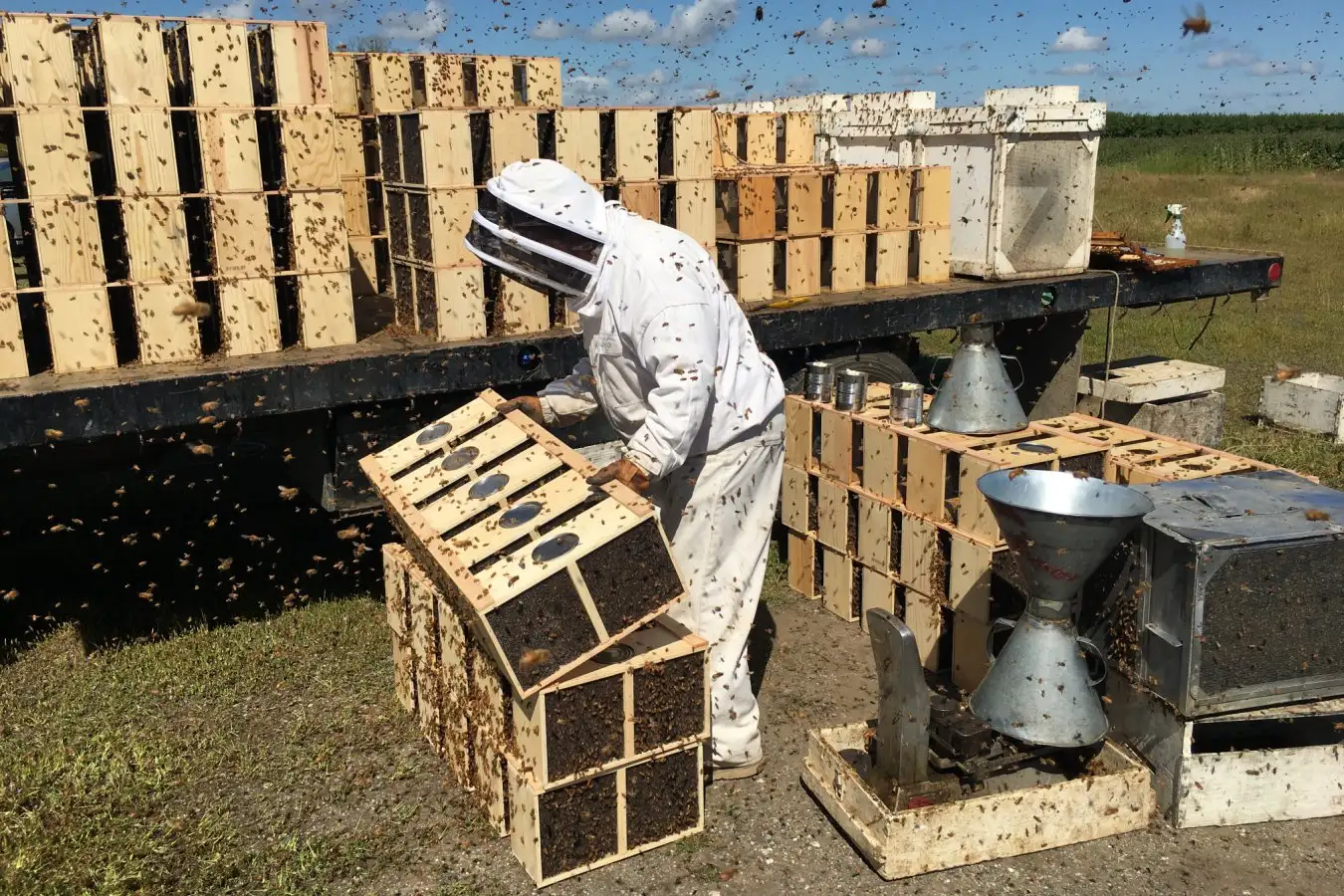 A beekeeper prepares packages of bees. (Photo credit: Jennie Durant) Bitter Honey by Jenny Durant