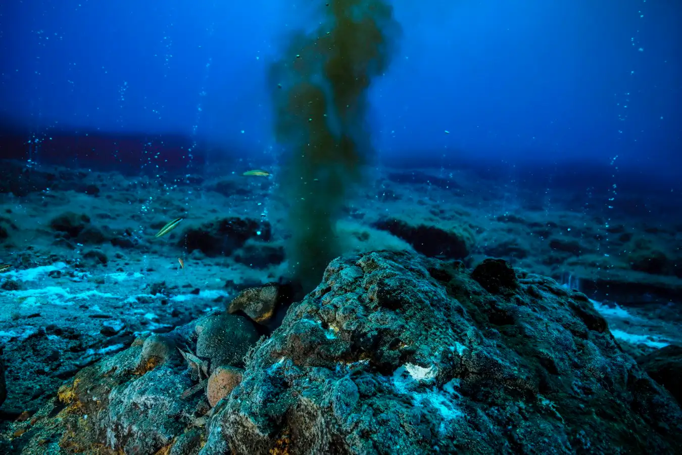 PANAREA ISLAND (SICILY), MEDITERRANEAN SEA ??? MAY 2022 : Observation of a grey smoker of the Panarea volcanic island on May 31, 2022, in the Aeolian islands archipelago, Mediterranean Sea. In the caldera of the island of Panarea, the temperature of this black smoker exceeds 129??C. It forms a chimney from which the hydrothermal fluid flows. (Photo by Alexis Rosenfeld/Getty Images)