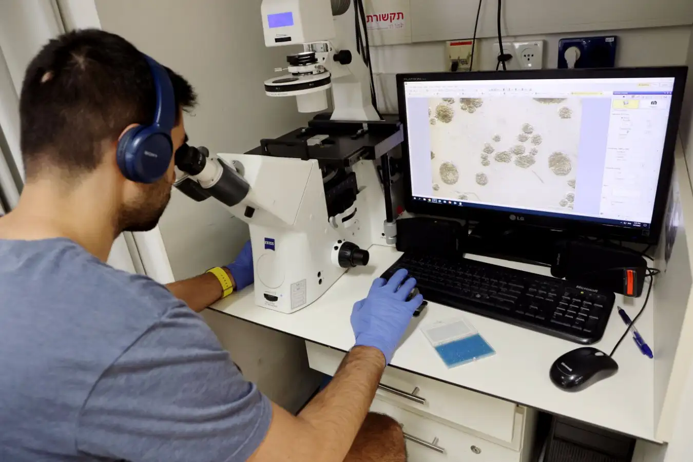 Mandatory Credit: Photo by Xinhua/Shutterstock (14088499b) A researcher works at a biological sciences lab at Weizmann Institute of Science (WIS) in the Israeli city of Rechovot on Sept. 7, 2023. Stem cell researchers created artificial models of human embryos and successfully grew them outside the womb up to day 14, WIS in central Israel said in a statement on Wednesday. In a new study published in the journal