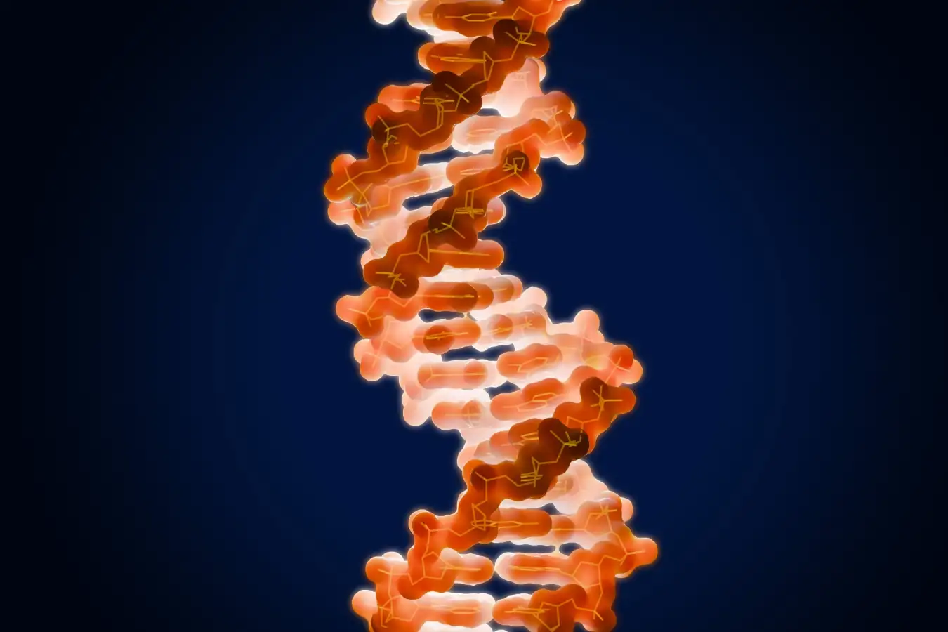 New Scientist. Science news and long reads from expert journalists, covering developments in science, technology, health and the environment on the website and the magazine.