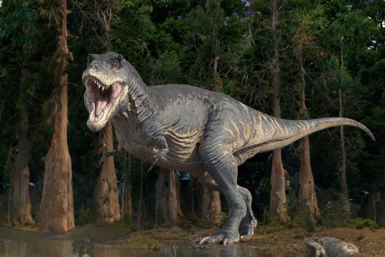 Tyrannosaurus rex dinosaur, illustration