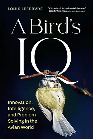 Book cover: A Bird's IQ: Innovation, Intelligence, and Problem Solving in the Avian World by Louis Lefebvre