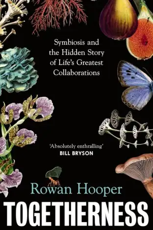 Togetherness by Rowan Hooper