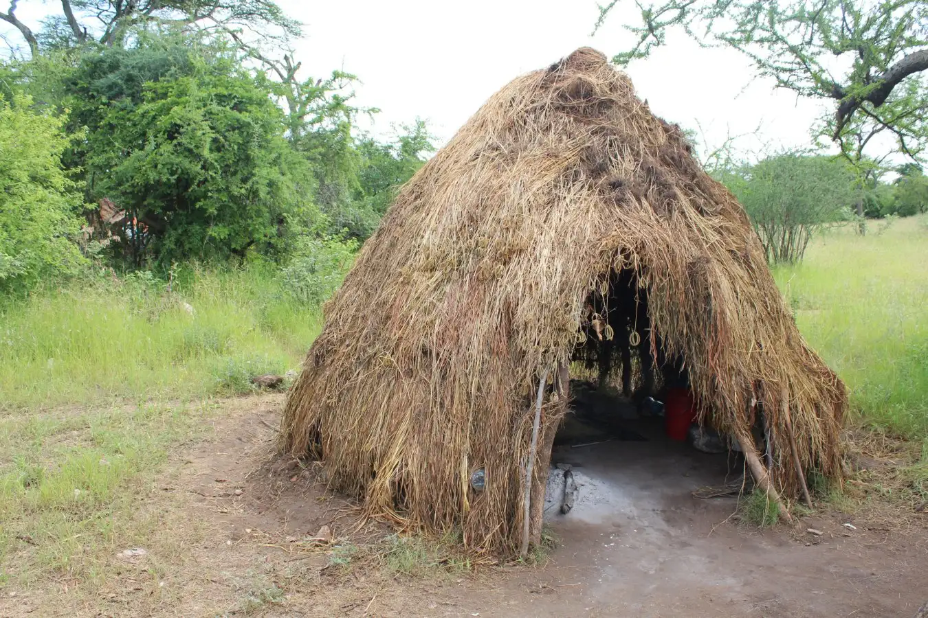 A hut built by the Hadza, a hunter gatherer population in Tanzania