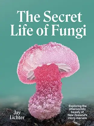 The Secret Life Of Fungi COVER
