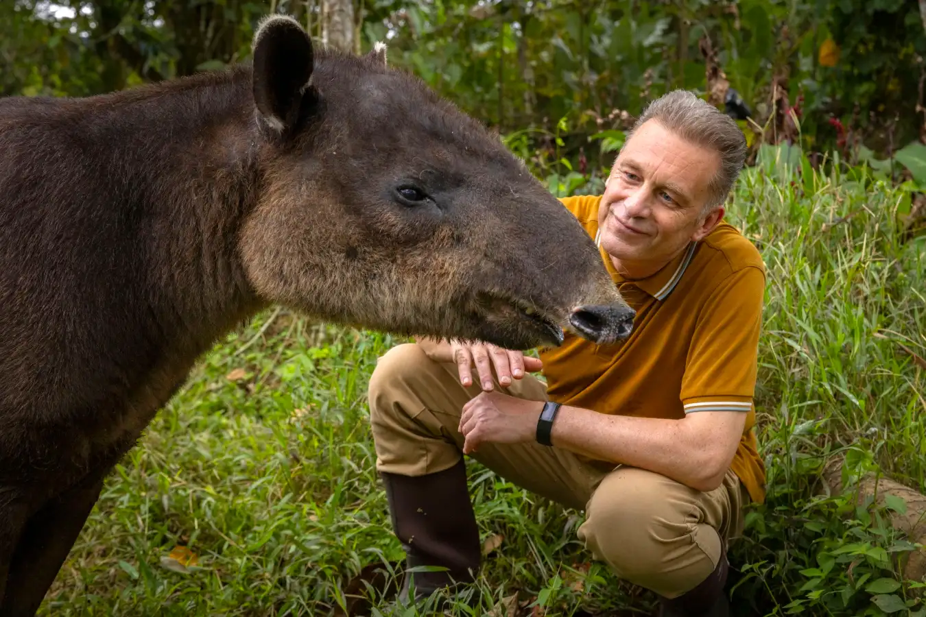 Chris Packham with a Baird's Tapir in Costa Rica, in his new show Evolution
