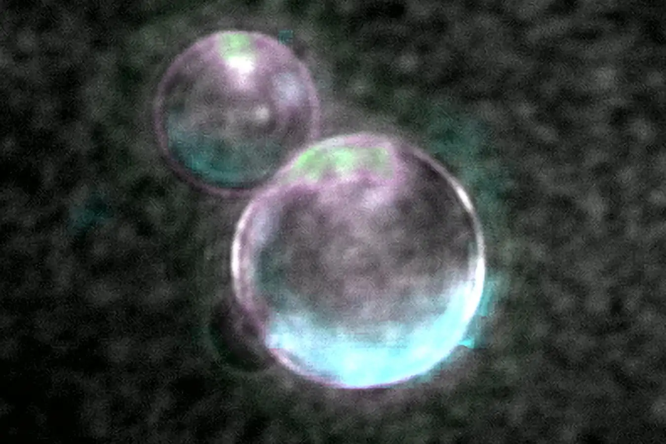 SpudCell, the first synthetic cell system built from non-living components to complete a full cell cycle