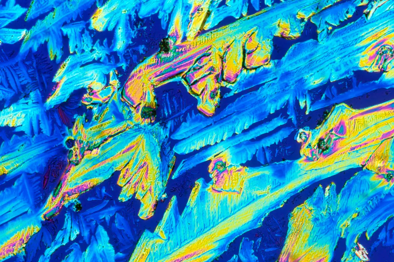 Polarised light micrograph of crystals of the chemical histamine